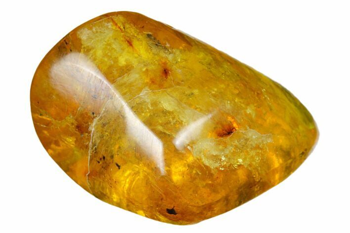 Polished Chiapas Amber ( g) - Mexico #180423